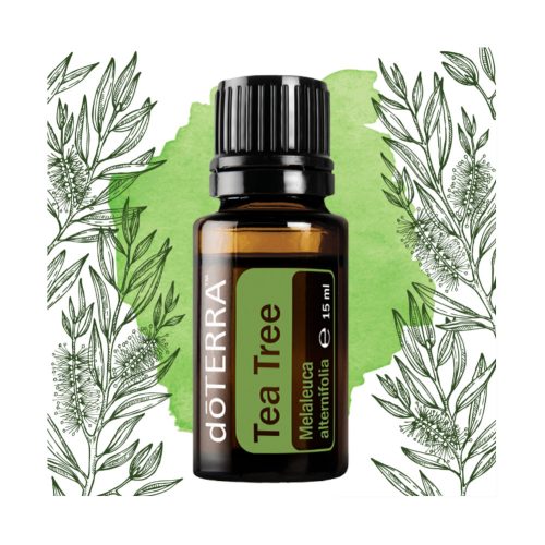 dōTERRA  Teafa (Melaleuca) Melaleuca alternifolia esszenciális olaj