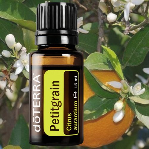 dōTERRA  Petitgrain - Citrus aurantium 