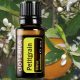 dōTERRA  Petitgrain - Citrus aurantium 